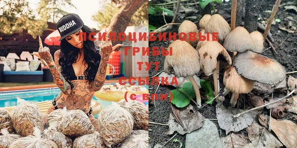 ешки Алзамай