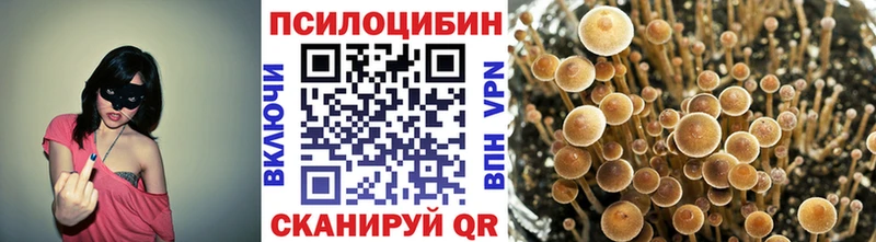 Псилоцибиновые грибы GOLDEN TEACHER  Микунь 